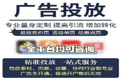 行业标杆的SEM竞价营销案例研究